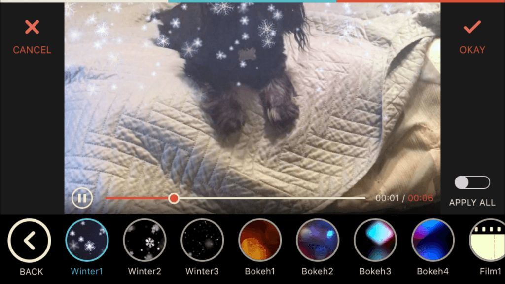 5款超易上手的视频制作神器 让你的facebook广告立马有效 赶紧码上 跨境头条 Amz123亚马逊导航 跨境电商出海门户