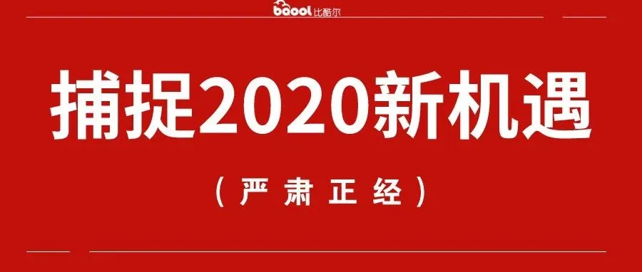 2020 这个亚马逊日本站点的机会更大!