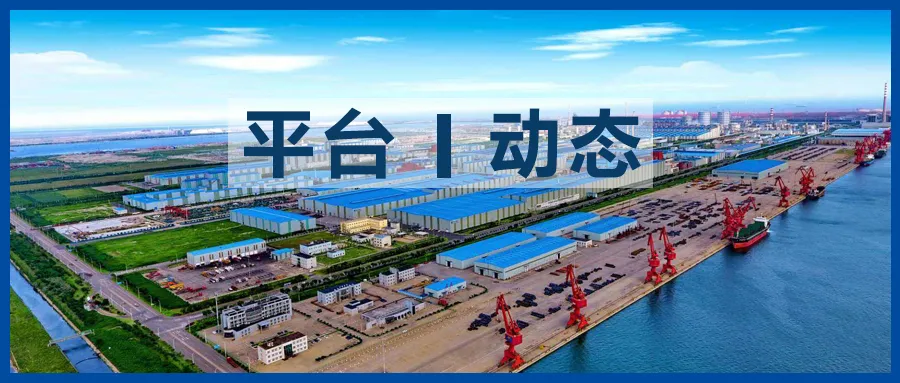 Shopee虾皮 | 发货笑了,回款哭了...海关免税额度知多少?
