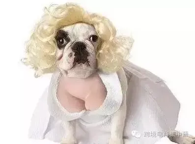 分享 | 绝对不输淘宝的亚马逊商品