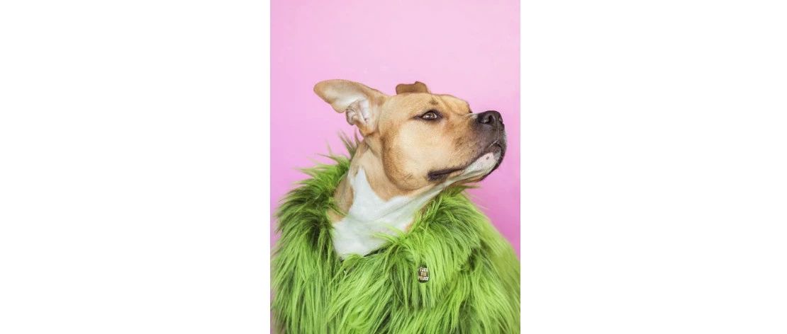 亚马逊卖家究竟是一群什么妖魔鬼怪