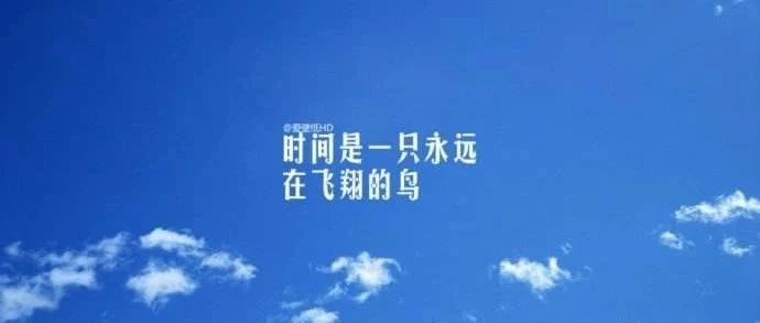 跨境出海eBay11月top直邮产品精选