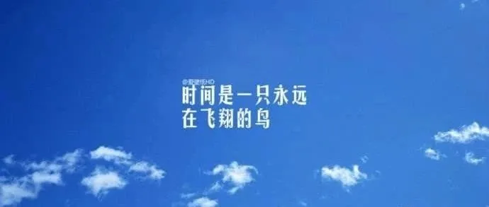 跨境出海eBay11月top直邮产品精选