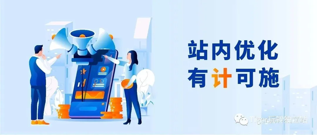卖家将流量吸引到独立站，却没有销量？12招让独立站销量飙升！