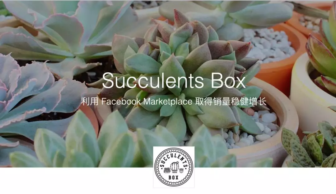 Succulents Box｜利用Facebook Marketplace 取得销量稳健增长