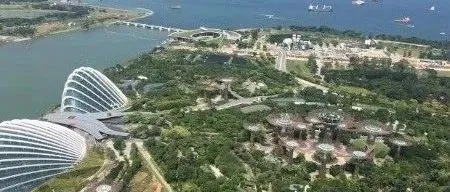 想把品牌“种草”全球? 她说一定要抓住这个流量增长机遇