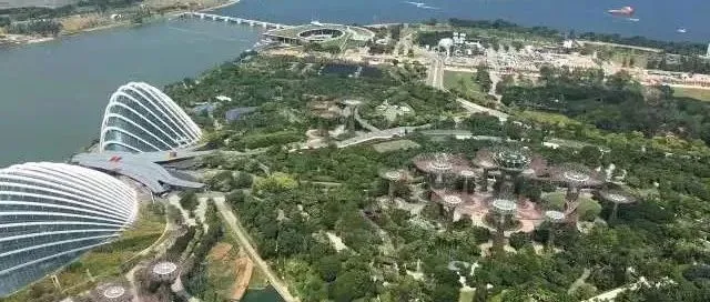 企业做到这两点就能成功?他道出了品牌出海的核心要素