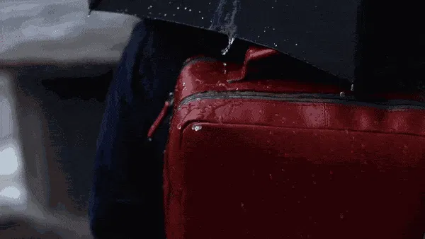 https://image.ipaiban.com/upload-ueditor-image-20180824-1535077004480003406.gif