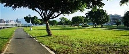 布局巴西 发力印尼 2019年Shopee干了这些大事