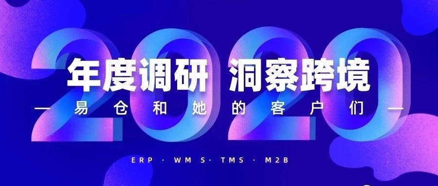 《2019-2020年：回顾&amp;趋势跨境行业数据报告》