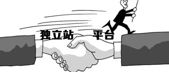 口罩禁止出口？假的丨口罩战役引发的思考：亚马逊与独立站的PK中谁会获胜？