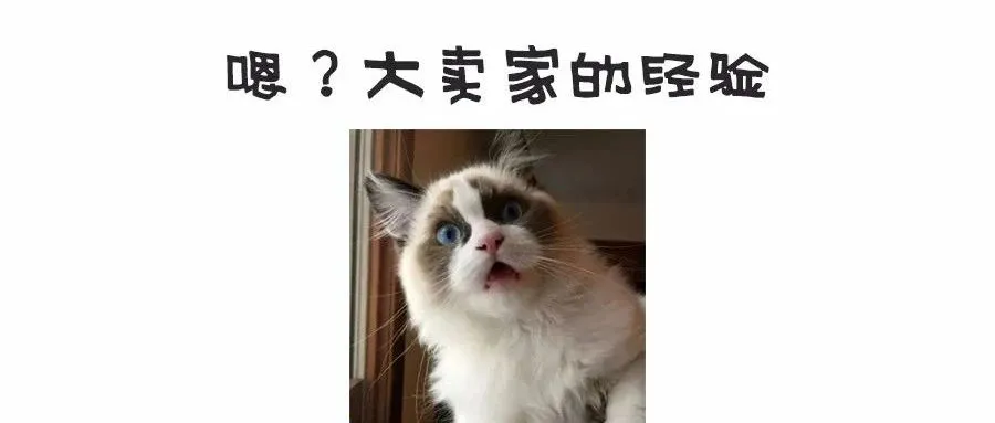 优秀的大卖家是怎么做Shopee虾皮的？