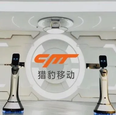 猎豹移动2019年总营收35.88亿,海外业务面临困难