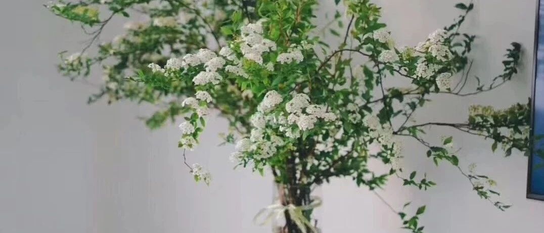 最近亚马逊卖家反馈最多的三大问题&amp;解析