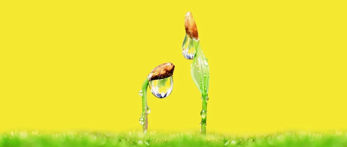 我才注意到，疫情过后，我们将面对的是一群怎样的卖家竞手？