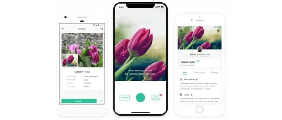 出海开发者的一款植物识别App 被“送”上了欧洲畅销总榜