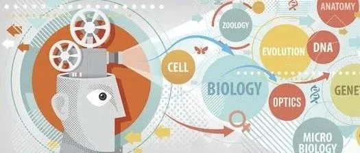 敏哥:揭秘亚马逊A9算法中那些不为人知的细节系列一