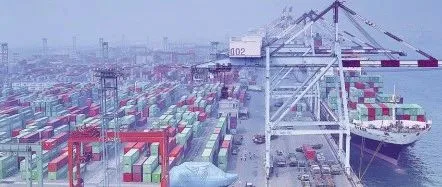 给力!这个国家强制要求船公司减免集装箱延滞费用!
