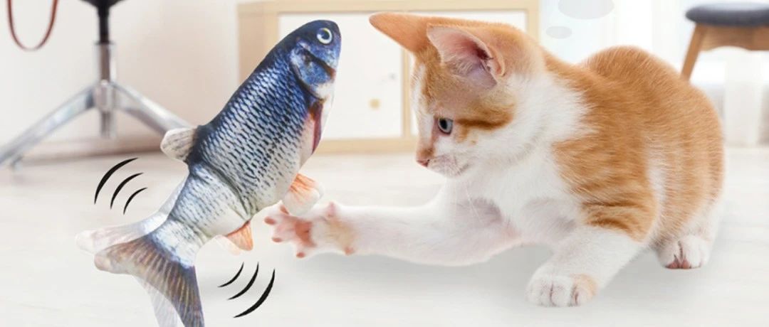 这小玩意也爆发了！亚马逊今年有很多捡钱的机会