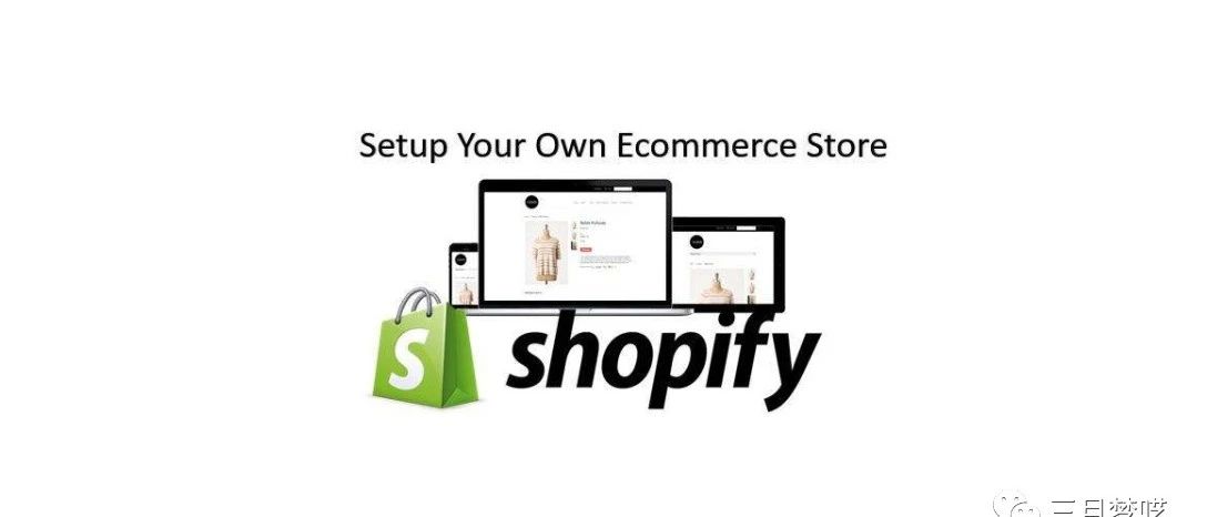 分享几个Shopify独立站成功案例