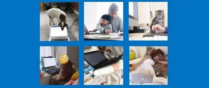 远程办公已成趋势？Facebook宣布可永久在家办公，4个方面分析利与弊丨Morketing Global观察