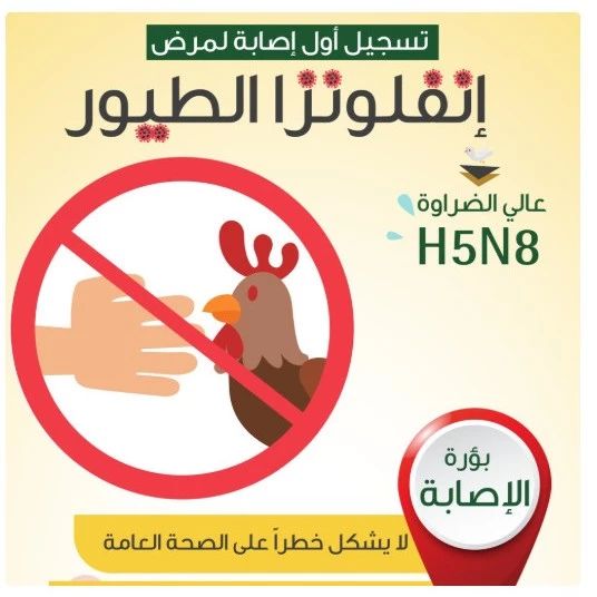 每日新闻 20200207 | 在沙特阿拉伯的农场竟然爆出H5N8禽流感