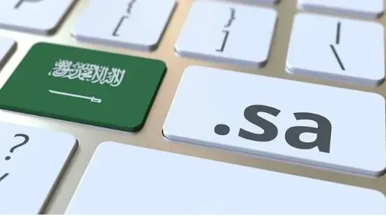 Covid-19危机并存:沙特电子商务显著增长