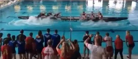 端午已成世界节日!你无法想象欧美人有多爱赛龙舟!