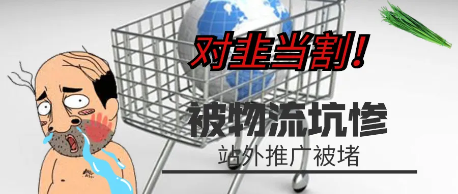 对韭当割!卖家被物流坑惨,站外引流被堵,下半年该如何运营?
