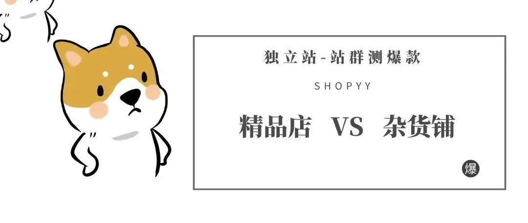 独立站站群测爆款——精品店vs杂货铺(一)