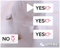 TikTok宠物领域,30个卖惨爆款文案收集