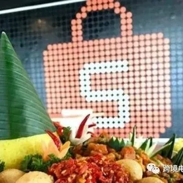 Shopee这样做,无经验也能让你快速赚钱,学会不花一分钱