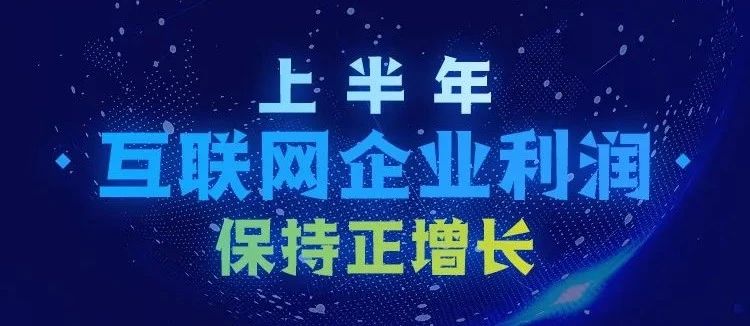 数说电商 | 上半年互联网企业利润保持正增长！