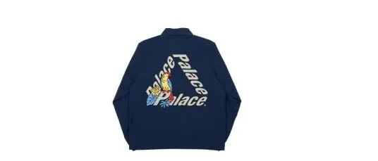 EPS代理PALACE品牌连发两案(内附被告名单)