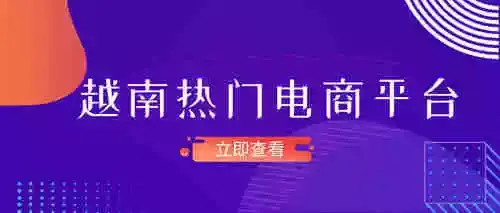 越南电商平台激战正酣,Sendo强势上升超越Lazada、Tiki排名第二,老大依然是...