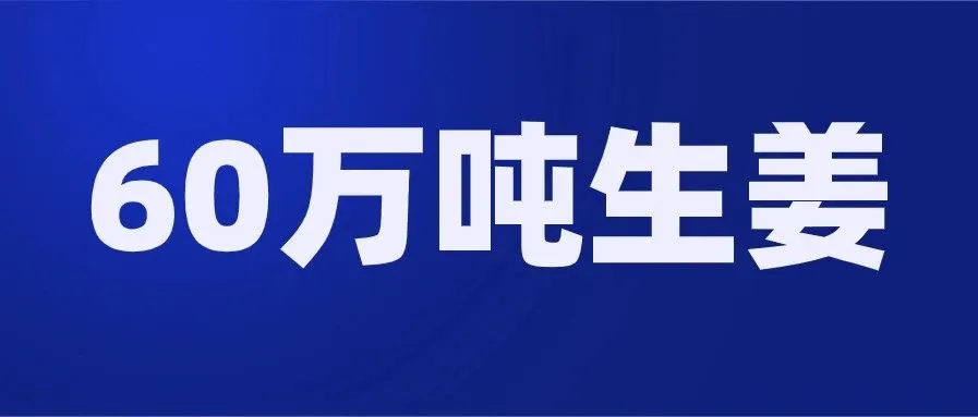 跨境卖家郁闷了！COVID-19期间印尼热销的都是些啥：摄像头、游戏机、自行车，还有生姜