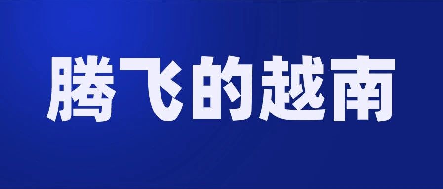 深度解析：从2019到2020，越南电商经历了什么，将会怎样发展