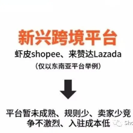 Shopee新手:为什么上传几百件产品就是不出单,如何快速出单?