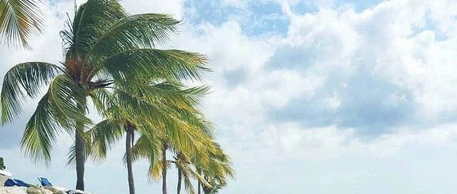 shopee虾皮店铺方向规划