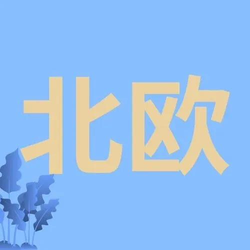 全球最富裕的五国用户,都在Wish豪掷千金买什么?