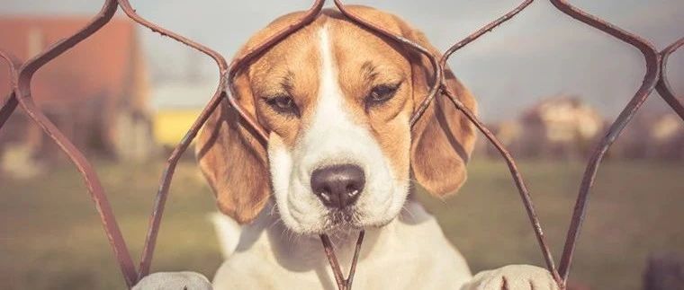 亚马逊运营QA集锦（1134-1143）