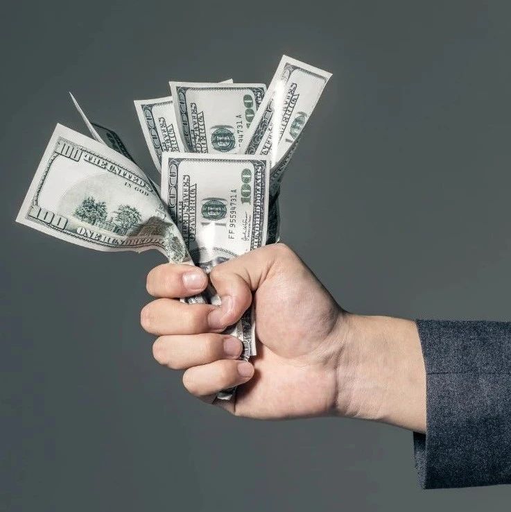 把握买家购买趋势！Flipkart新推“Brand Pulse”