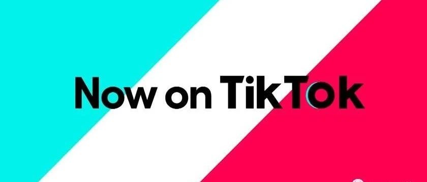 TikTok上11位头部大号大赏！