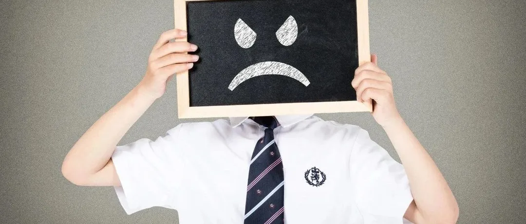 这种产品也能上?亚马逊又一敏感产品引众怒!