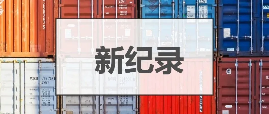 海关菜鸟合力创下进口通关新纪录! 6小时33分天猫双11全口岸清关破1000万单