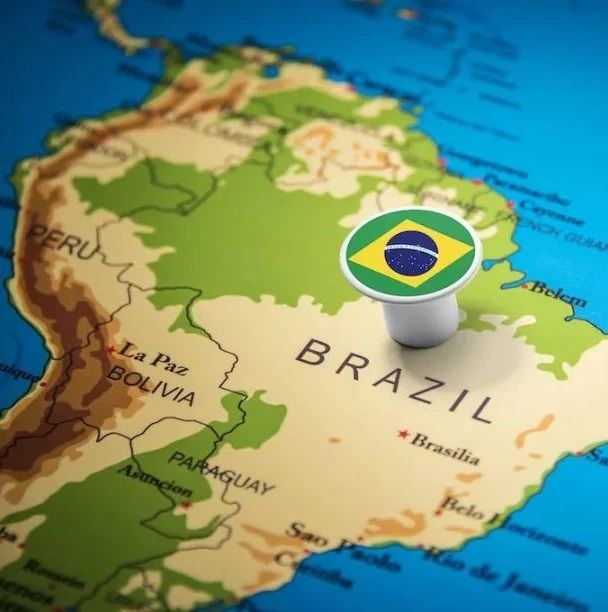 出口巴西注意！了解进口代理制度，防范贸易风险！