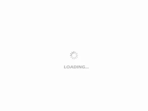 u=2032295565,385284422&fm=26&gp=0.gif