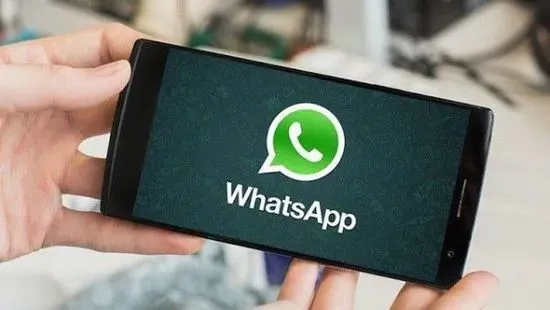 WhatsApp营销 | 你想要的都在这里!