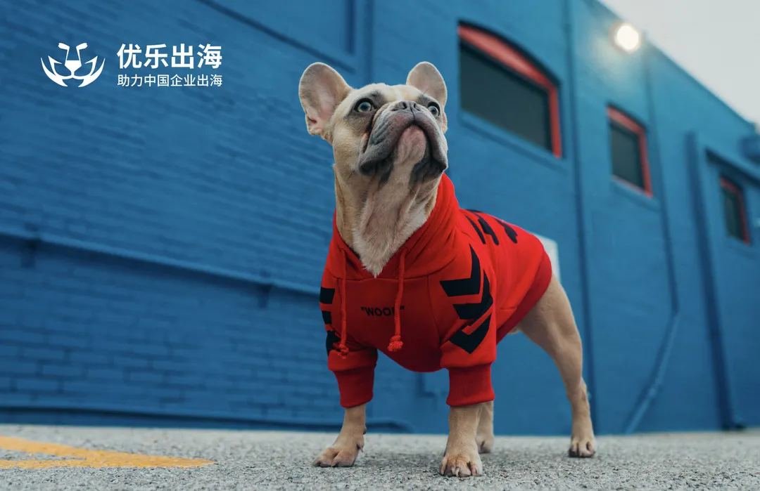 你以为独立站只有Shopify爆款模式？殊不知...