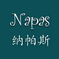 纳帕斯质检服务